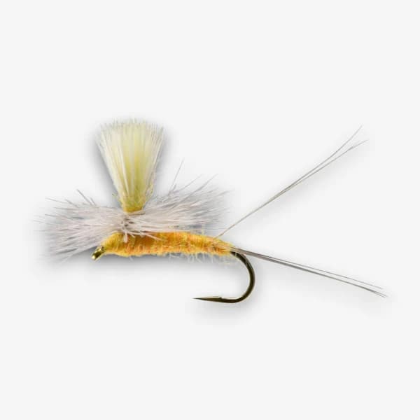 Parachute Pink Albert image