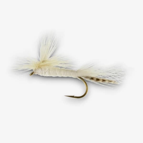 Parachute White Mayfly image