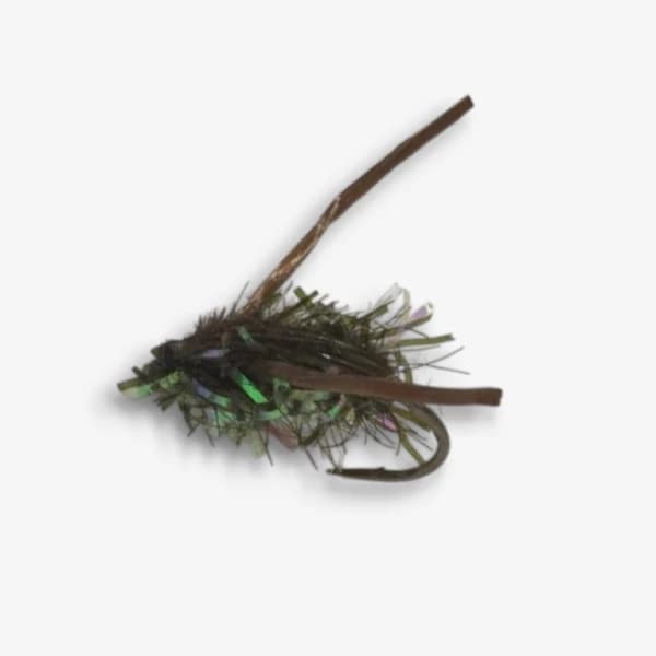 Peacock Water Boatman fly pattern - Water Boatman nymph image