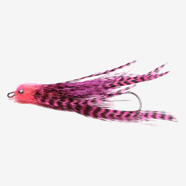 Pick Yer Pocket fly pattern - Streamers Freshwater baitfish image