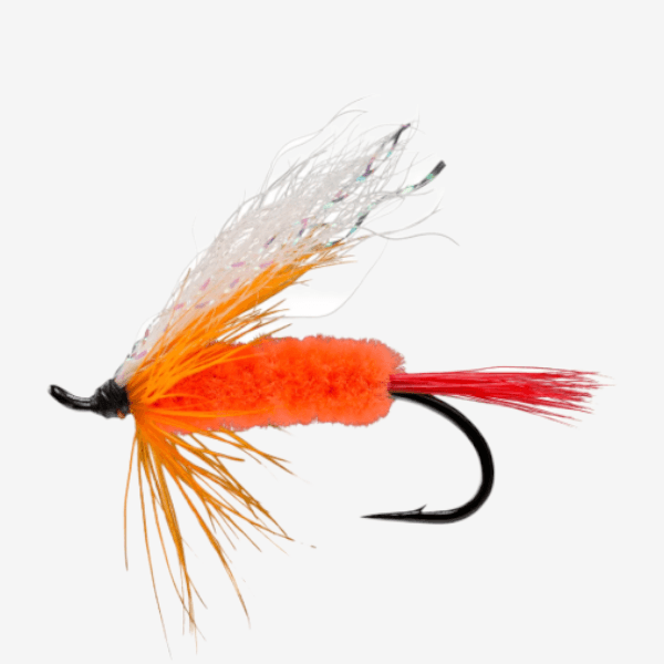 Polar Shrimp fly pattern - Wet Flies streamer image