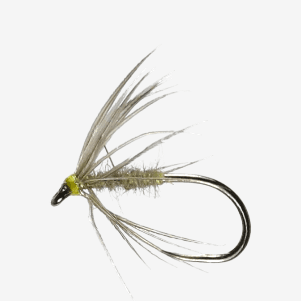 The Poult Bloa fly pattern - Wet Flies attractor image