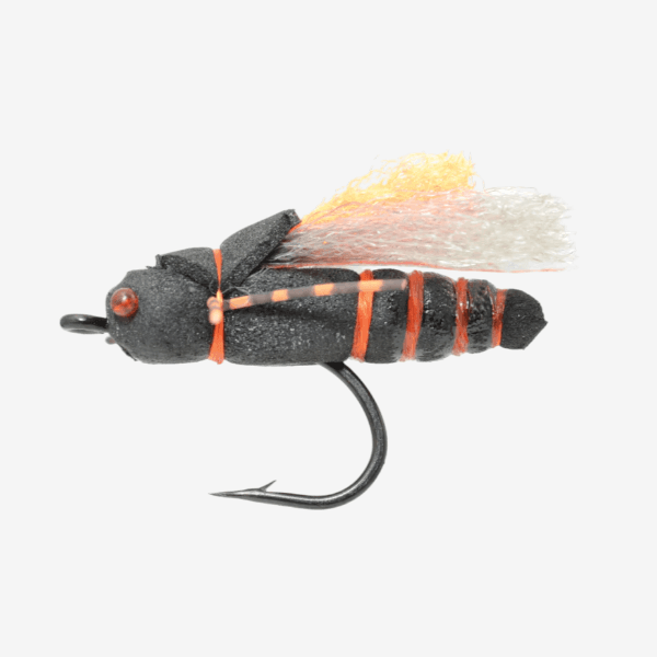 Project Cicada image