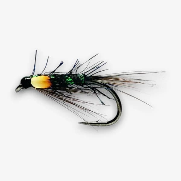 Pseudo Diawl Bach image