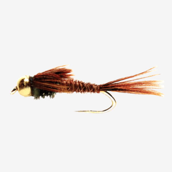 Pheasant Tail Nymph