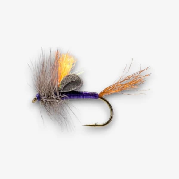 Purple Phase Loop Wing fly pattern - Callibaetis dry image