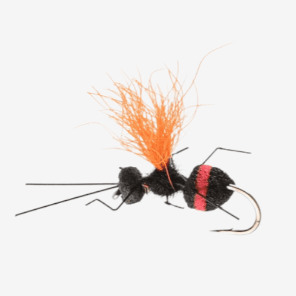 Carpenter Ant fly pattern - Ants dry image