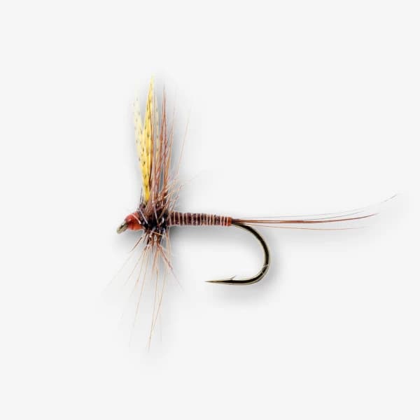 Red Quill image