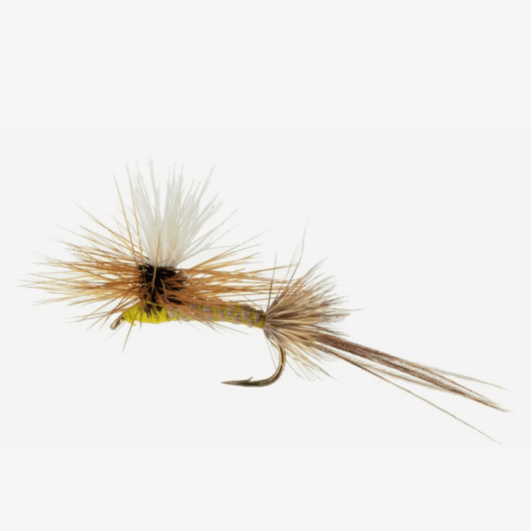 Roberts Yellow Drake image