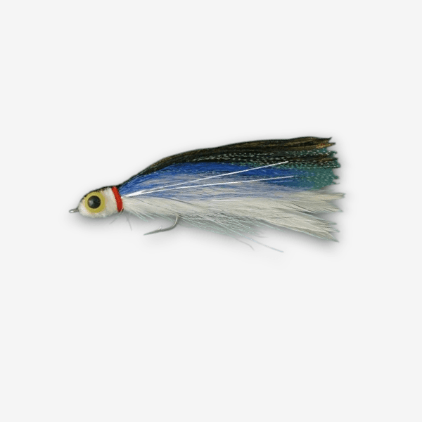 Robin's Anchovy image