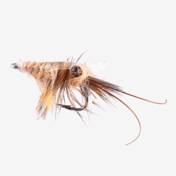 Salt Shrimp image