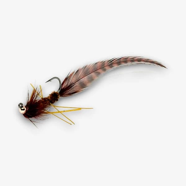 San Marcos Salamander image