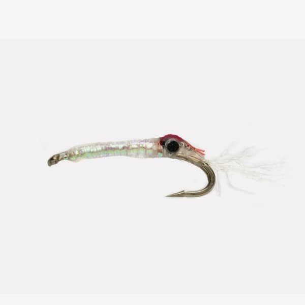 Shafer's Living Mysis