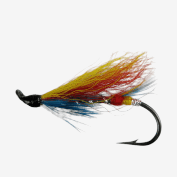 The Silver Doctor Steelhead Fly image