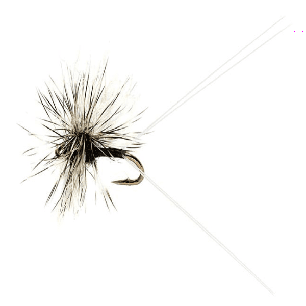 Splitsville Trico fly pattern - Trico dry image