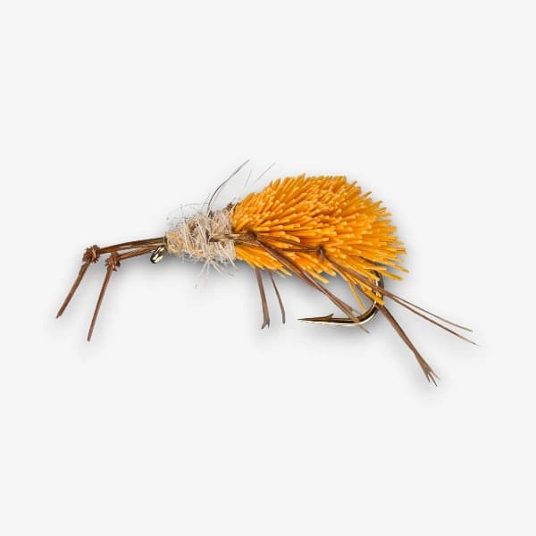 Spun Spider image