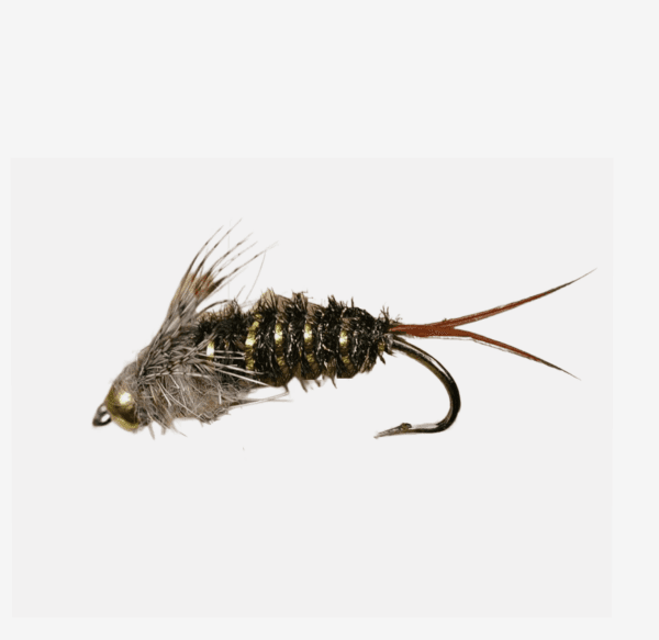 20 Incher fly pattern - Stonefly nymph image