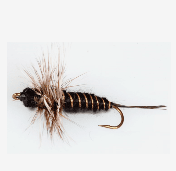 Brook's Stonefly Nymph fly pattern - Stonefly nymph image