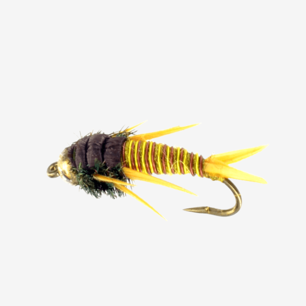 Golden Stonefly Nymph fly pattern - Golden Stone nymph image