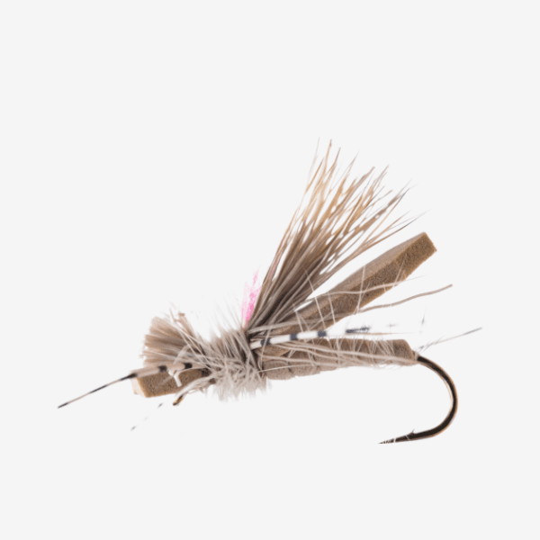 Superior Spruce Moth