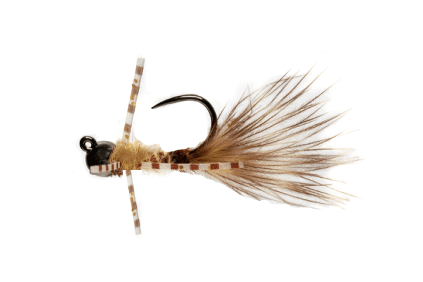 Swimming Drake Nymph image