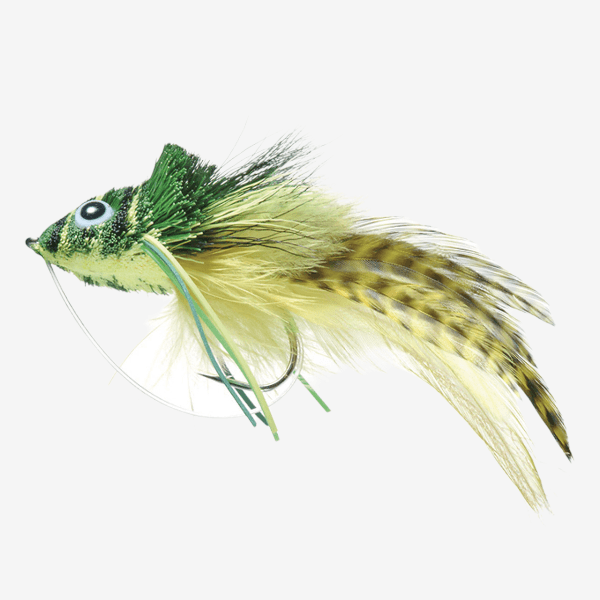 Swimming Frog fly pattern - Amphibians frogs image