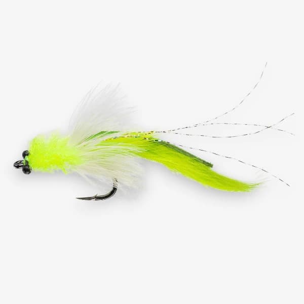 Tarpon Toad image