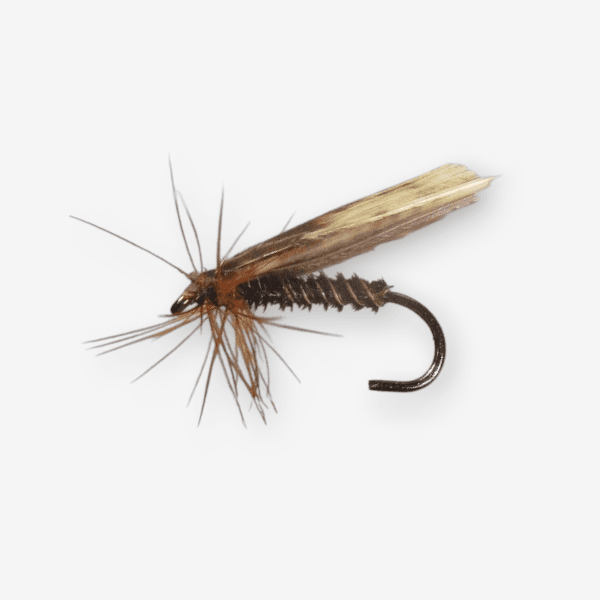 Tent Wing Caddis