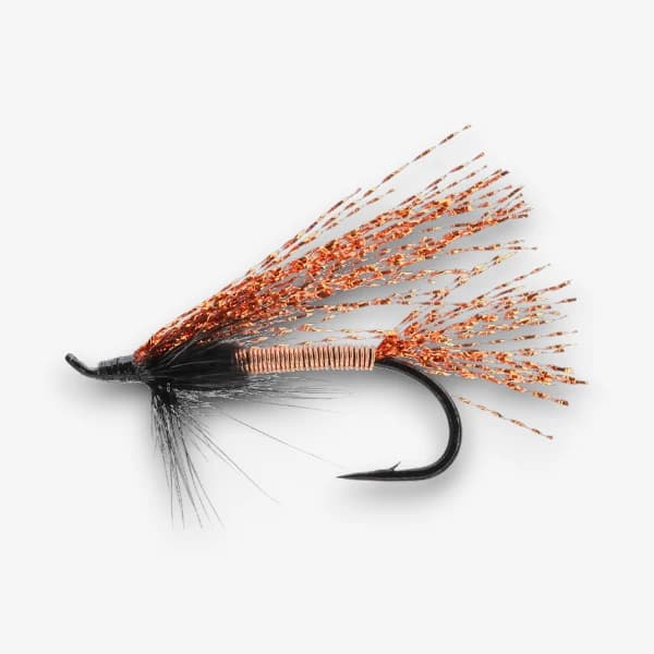 The Copper Train fly pattern - Wet Flies attractor image