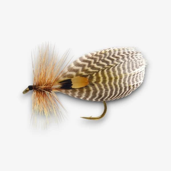 The Hornberg Special image