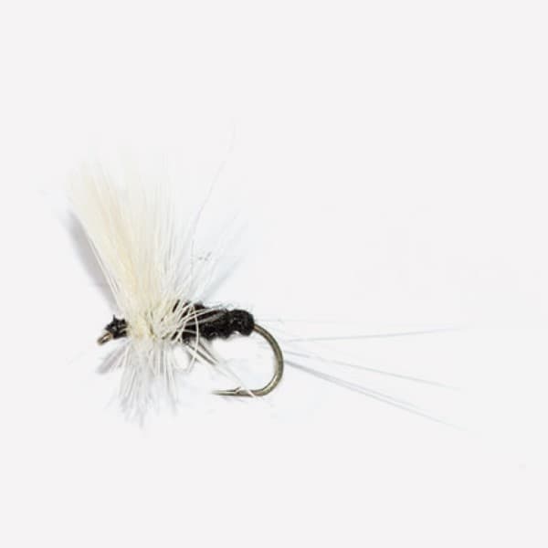 Trico Dun  fly pattern - Trico dry image