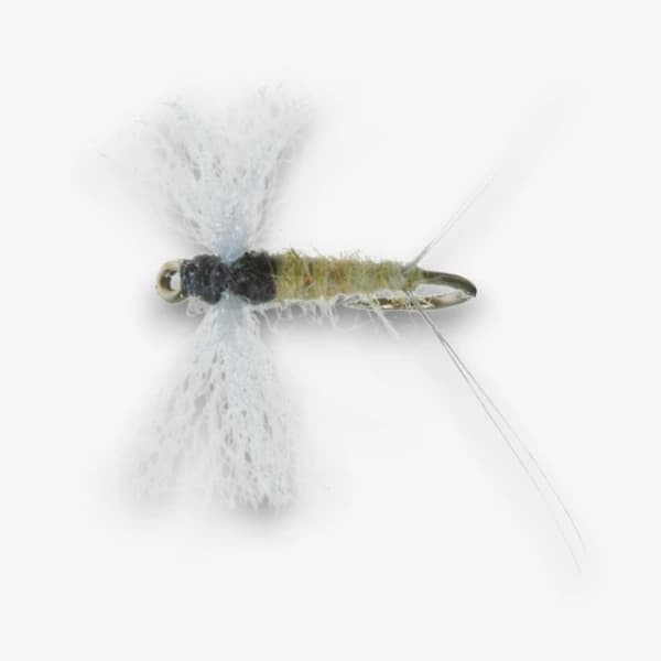 Trico Female Spinner fly pattern - Trico dry image