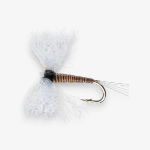 Trico Male Spinner fly pattern - Trico dry image