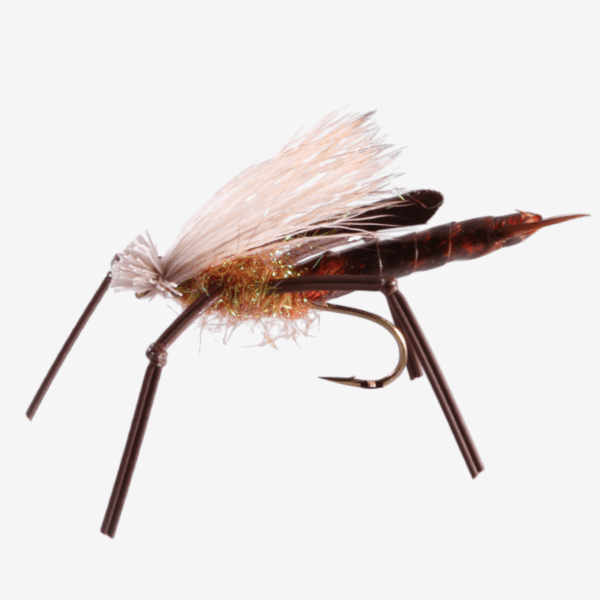 Trina's Dog Puke SalmonFly fly pattern - Salmonfly dry image