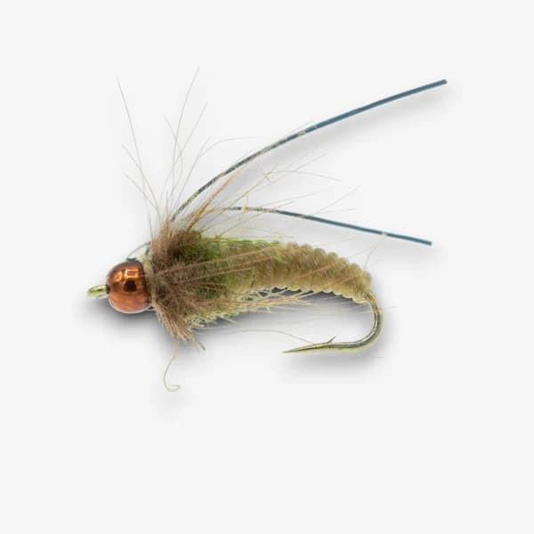 Twisted Caddis image