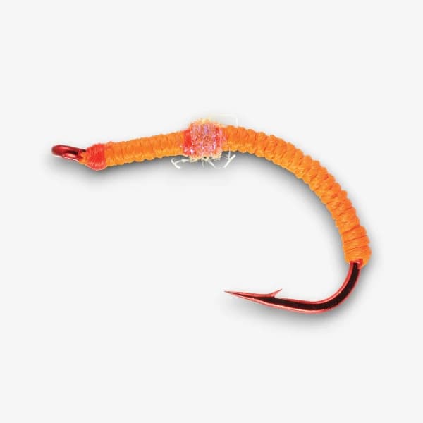 UV Juan Worm image