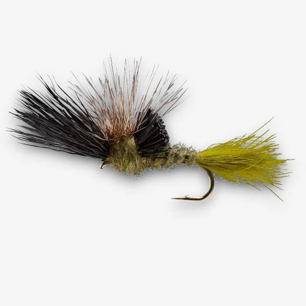 Victory Drake fly pattern - Green Drake emerger image