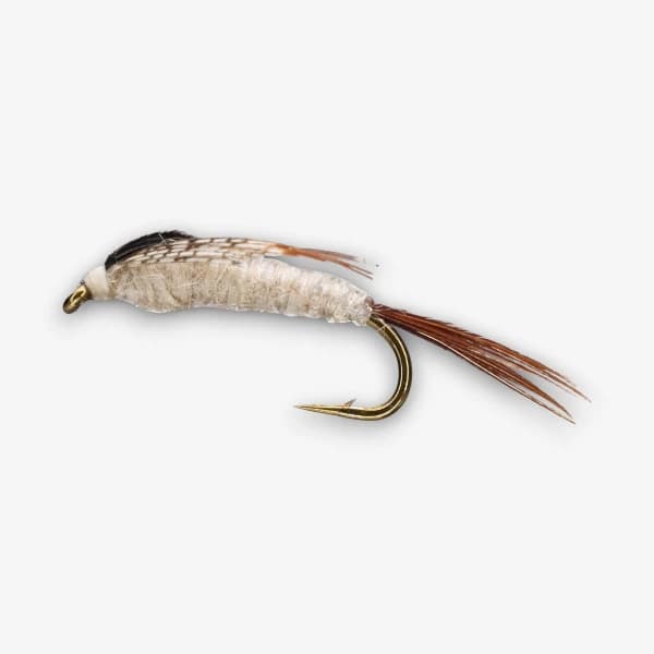 White Drake Nymph image