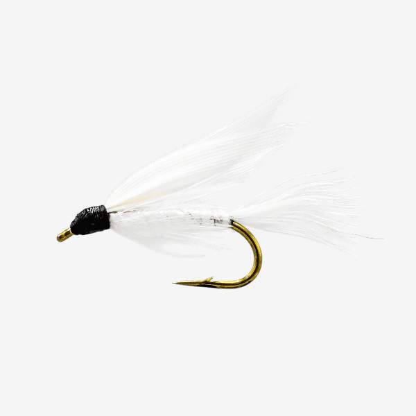 White Miller Caddis Wet