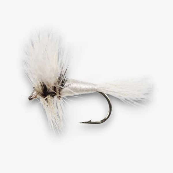 White Wulff image