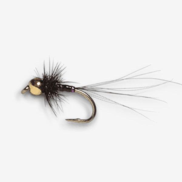 ZAK Nymph fly pattern - Attractor Patterns nymph image
