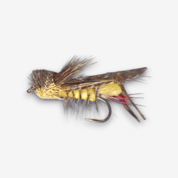 Dave's Hopper fly pattern - Grasshopper dry image