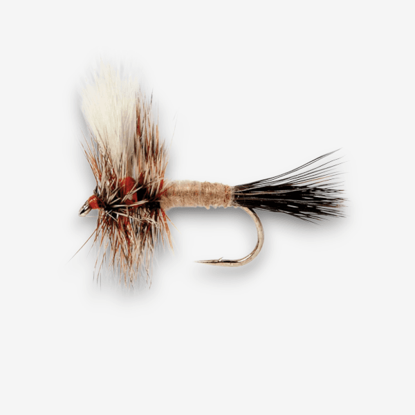 AuSable Wulff fly pattern - Attractor Patterns dry image