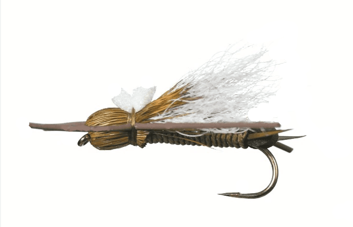 Bullethead Stone Dry fly pattern - Stonefly dry image