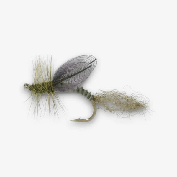 CDC Green Drake Emerger fly pattern - Green Drake emerger image