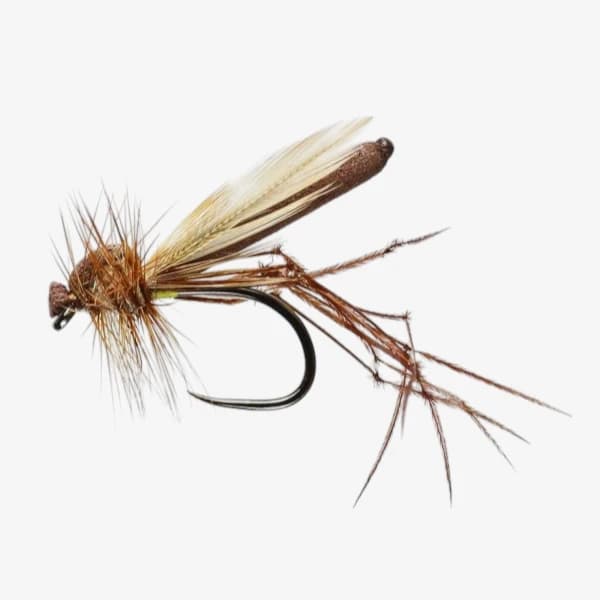 Daddy Long Legs fly pattern - Crane Fly dry image