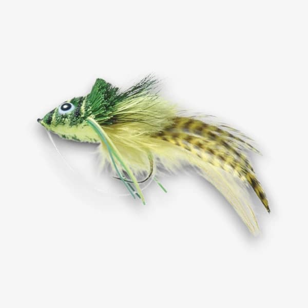 Dahlberg Diver fly pattern - Streamers Topwater baitfish image