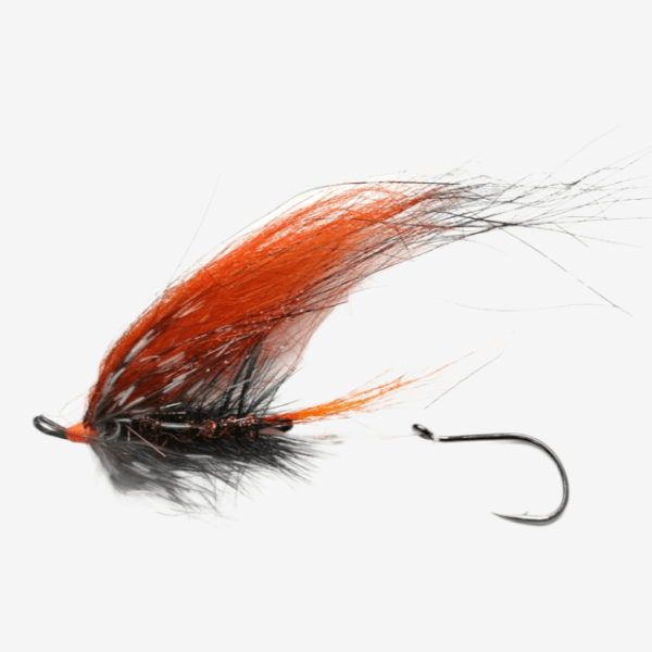 Foxee Dog fly pattern - Streamers Freshwater baitfish image