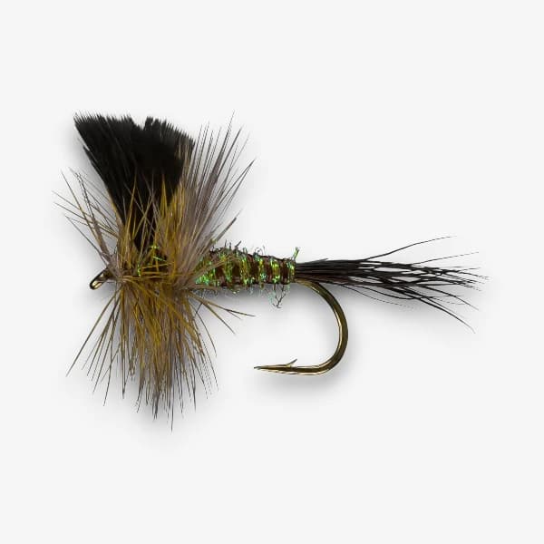 Ice Drake fly pattern - Green Drake dry image