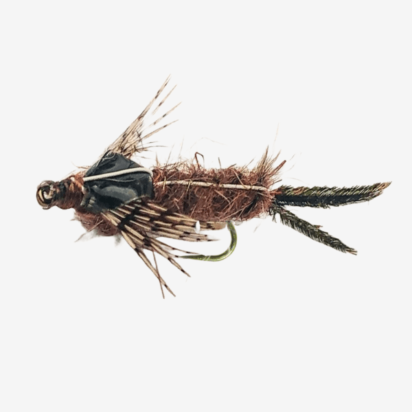 Isonychia Nymph fly pattern - Isonychia nymph image